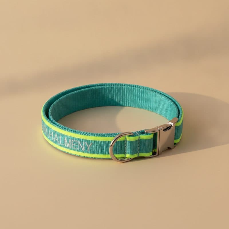 Teal dog collar with glow trim and embroidered name